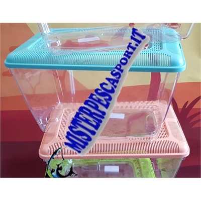 Acquario per pesci o rettili vari colori misti  mod ponza 5 lt 14