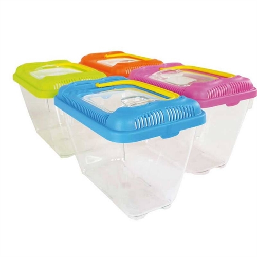 acquario ponza 1 per pesci rettili crostacei