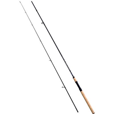 lineaeffe-canna-spinning-master spin 2,4 mt.  az. 20 - 55 gr.