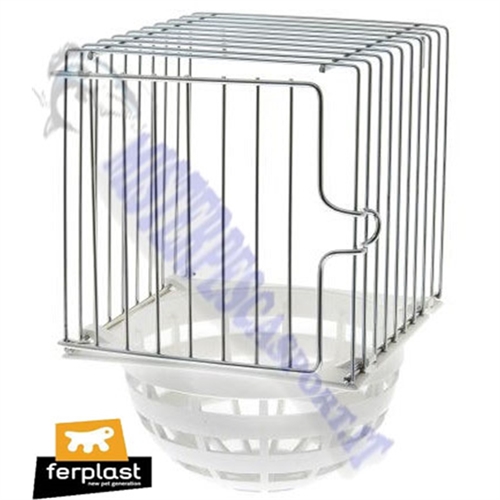 nido esecova uccelli