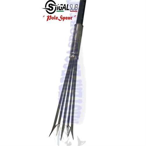 pole spear sigal sub asta fiocinata pesca sub a 5 punte. in acciaio inox pesca apnea