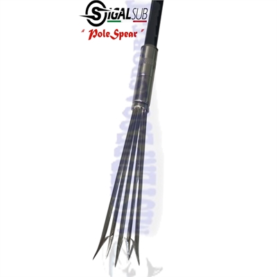 pole spear sigal sub asta fiocinata pesca sub a 5 punte. in acciaio inox pesca apnea