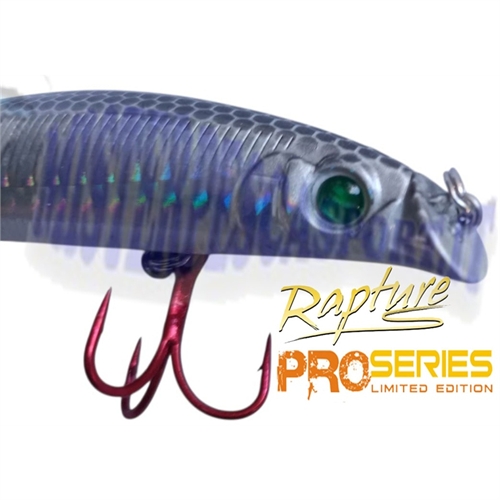 artificiale rapture bayrush -Bay-Rush- 90 col. ACC Acciuga floating pesca spinning