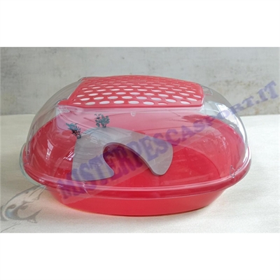 tartarughiera-sammy-art-372-con-isola-e-palma-per-tartarughe-d-acqua-rettilario-coperchio-trasparente-rossa