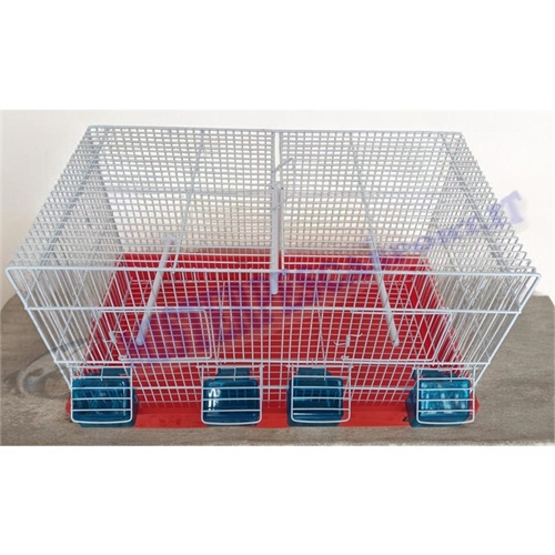 Gabbia-cova-55-cm-fondo-plastica-per-canarini-uccelli-pappagalli