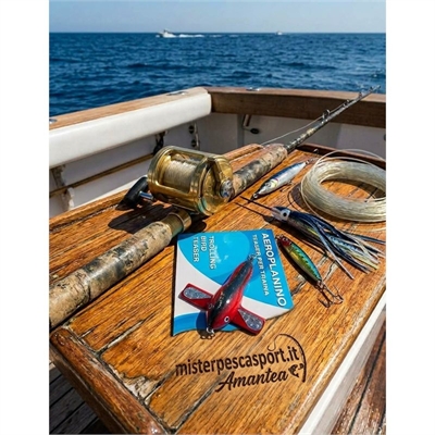 aeroplanino-teaser-bird-trolling-lineaeffe-10cm-5097991