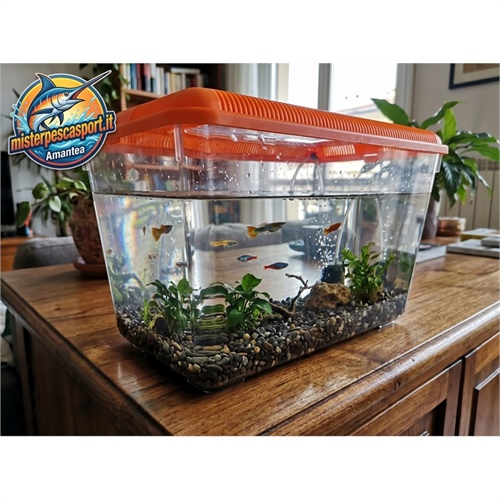 acquarietto-in-plastica-con-coperchio-colorato-38x24x23cm