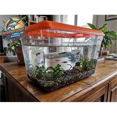 acquarietto-in-plastica-con-coperchio-colorato-38x24x23cm