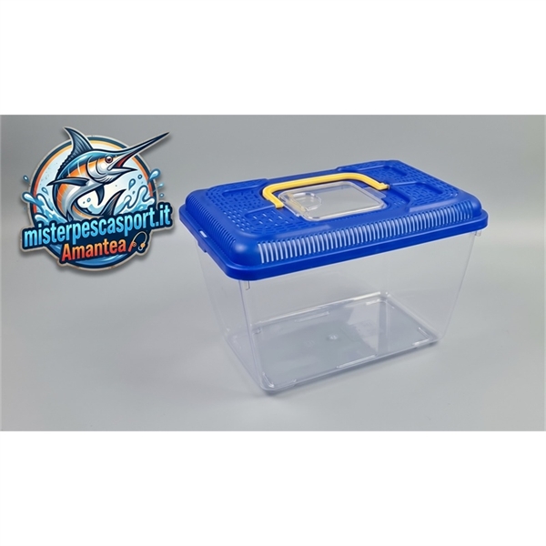 acquarietto-in-plastica-con-coperchio-colorato-25x14x16cm-rettilario