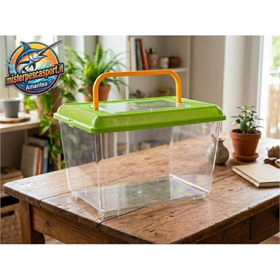 acquarietto-in-plastica-con-coperchio-colorato-19x12x13cm