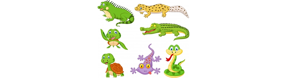 Acquarii per pesci > Vaschette per Tartaruga e Rettili > Ossigenatori