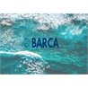 Barca S.r.l.